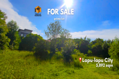 Foreclosed Commercial Lot - 5982 sqm - Mactan, Cebu