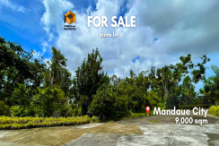 Lot For Sale - 9000 sqm - Pagsabungan Mandaue