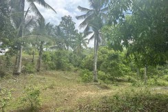 MOLUGAN,  EL SALVADOR , Misamis Oriental Lot For Sale